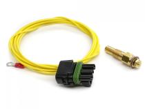 EAS Temperature Sensor -40-300 Degrees Fahrenheit Compatible w/ Edge CS2/CTS2/CTS3 1/8 in. NPT Edge Products